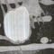 woven_lighting_panel_vid