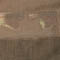 prototype_2_1_vid